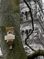 Skane (1)